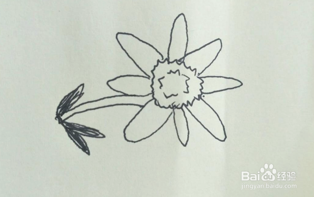 怎样画菊花的简笔画