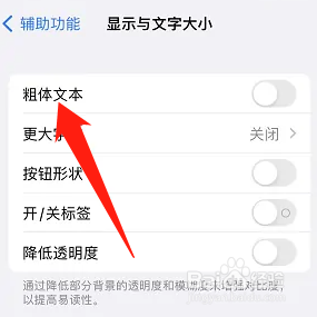 iPhone如何设置粗体文本