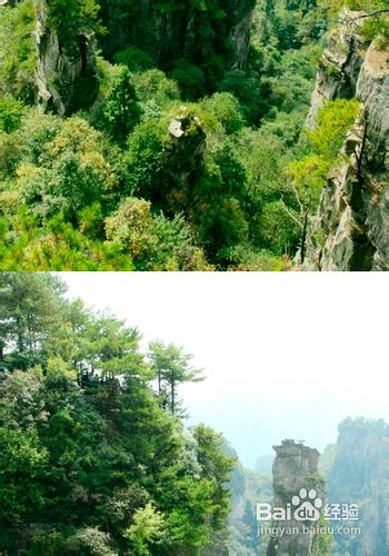 张家界自驾游使用攻略