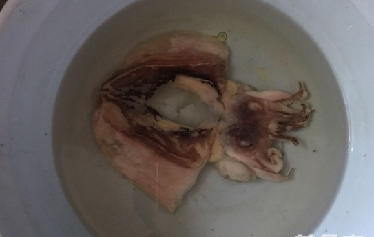 排骨墨鱼海带汤怎么做