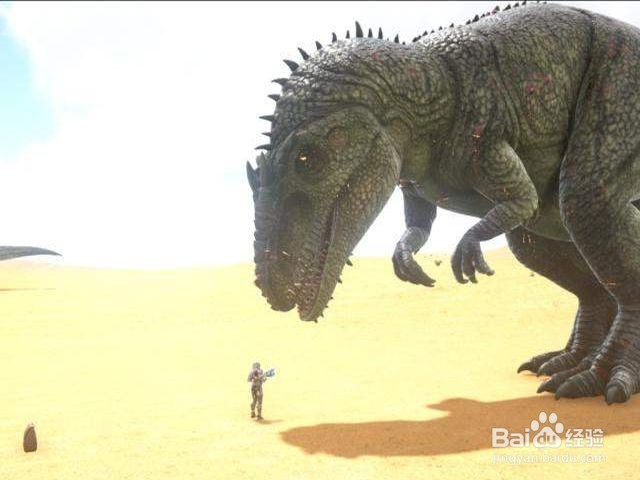 方舟南巨怎么训