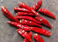 引起梦魇的6大原因