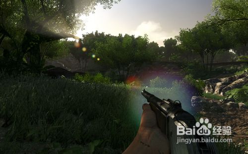 在《孤岛惊魂3》游戏中如何截屏