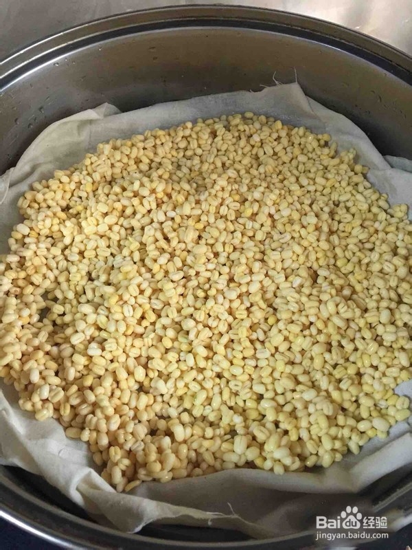 教你怎么做莲蓉绿豆糕