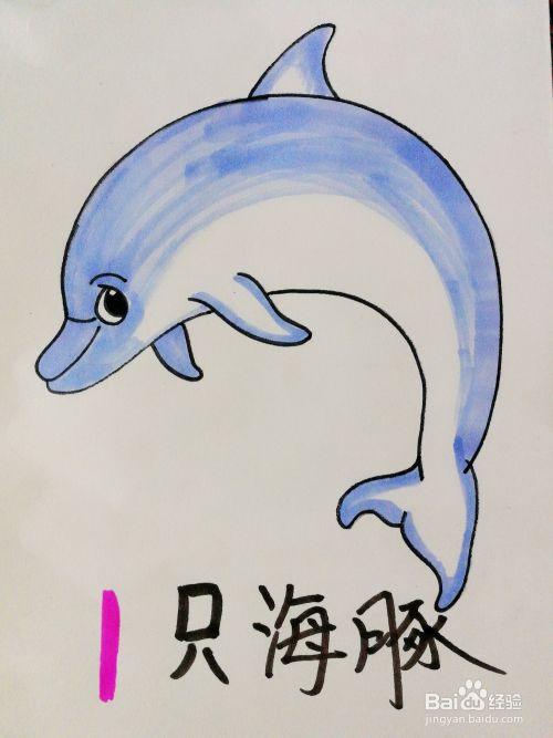 手绘一只海豚卡通绘本插图 百度经验