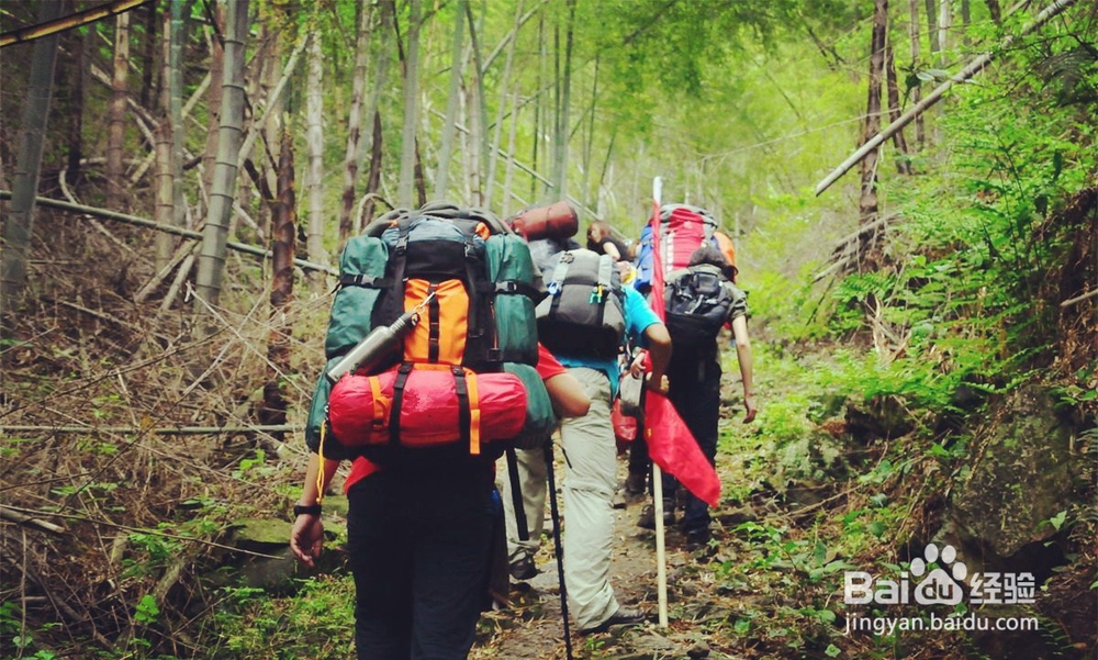 保卫绿水青山,我们应该怎么做?