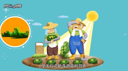 种菜前如何翻地整地 百度经验