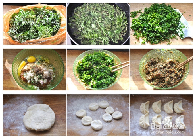 很多人的美味——荠菜饺子