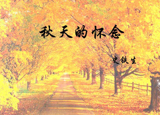 秋天的怀念两处好好活的含义是什么