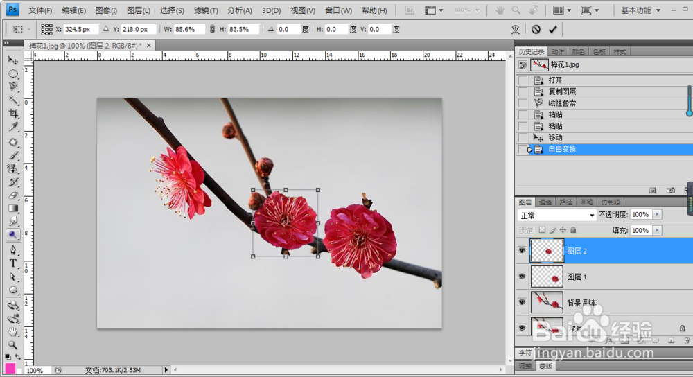 利用ps变换图像