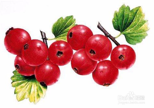 山楂真的会使孕妇流产吗?