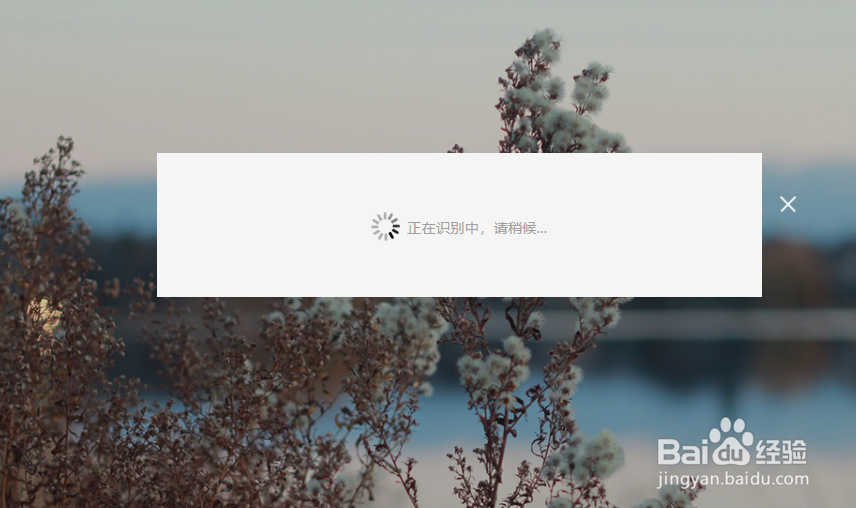 动态图怎么找出处