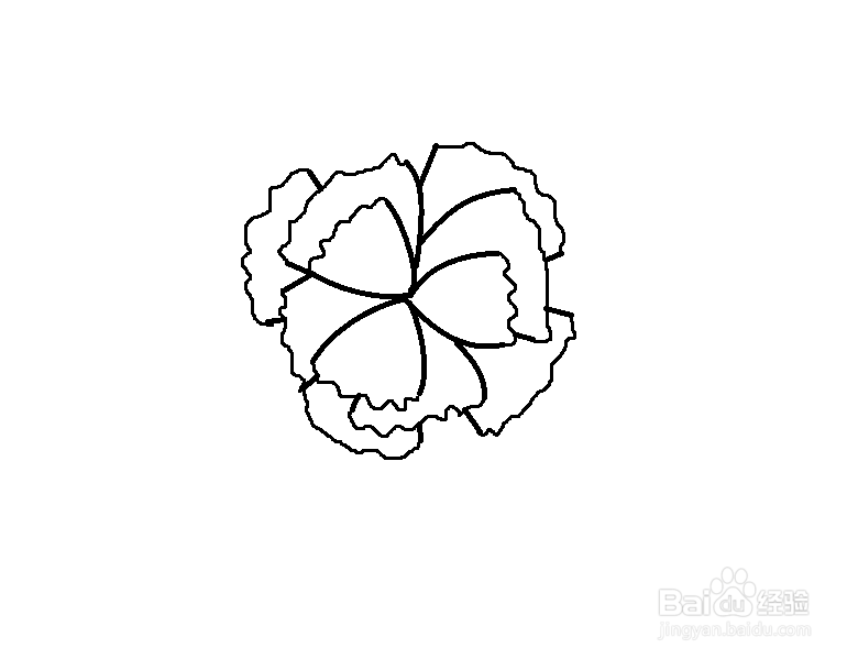 怎么简单画木槿花