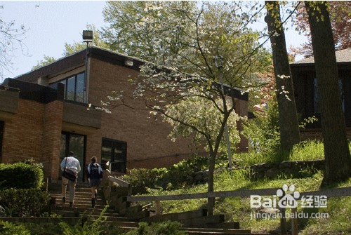 2012美国大学商学院MBA最理想的八大职业点评