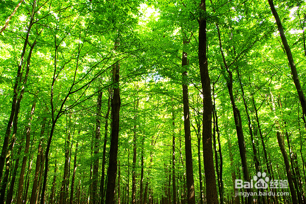 阴雨天怎么辨别方向