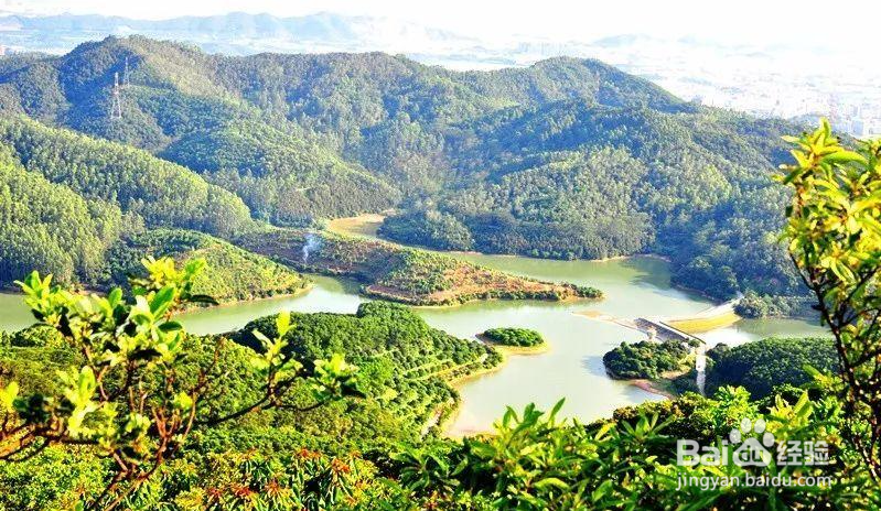 东莞哪里好玩的景点免费开放