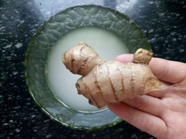 排毒去湿姜枣茶