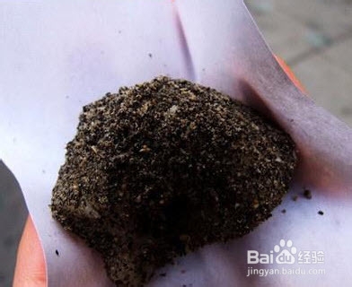 2013鼓浪屿旅游攻略