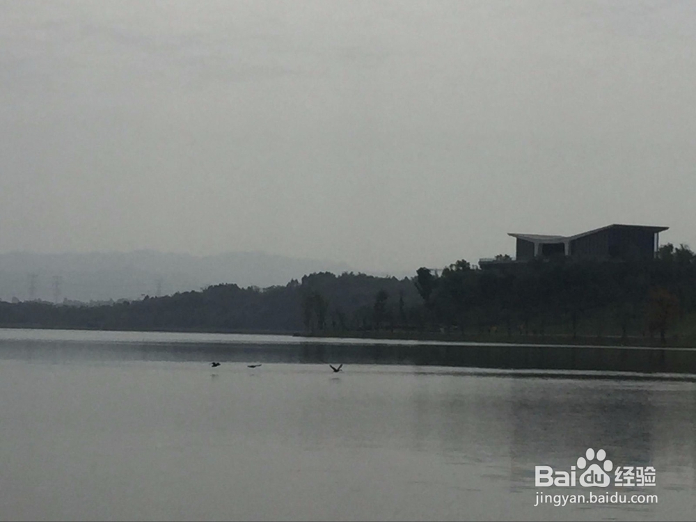 成都市天府新区兴隆湖周末游