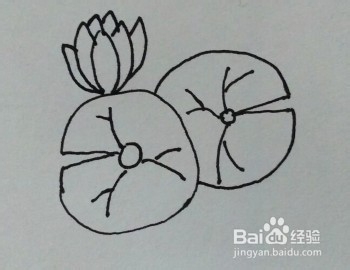 怎么画荷花的简笔画？