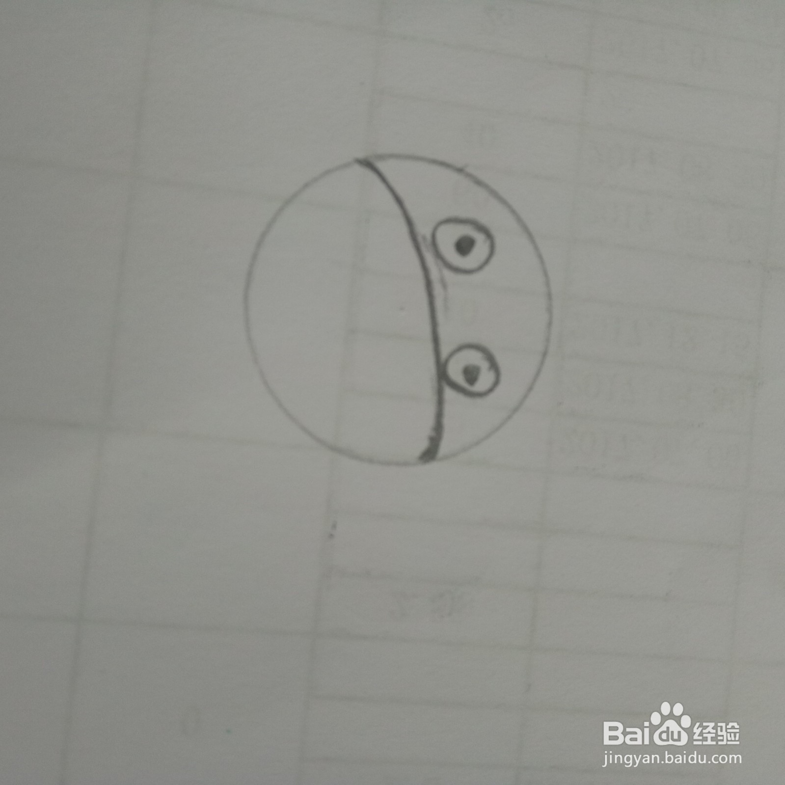 大班简笔画 示范画