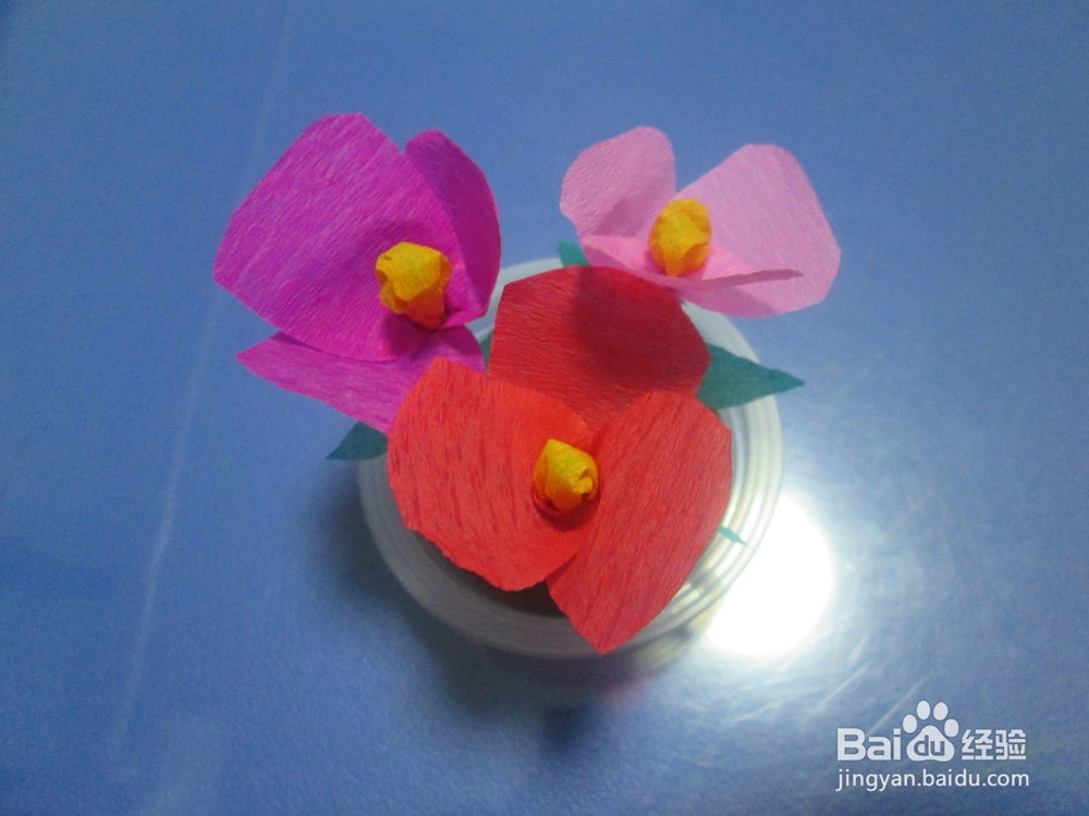 果冻盒子制作漂亮的小盆栽