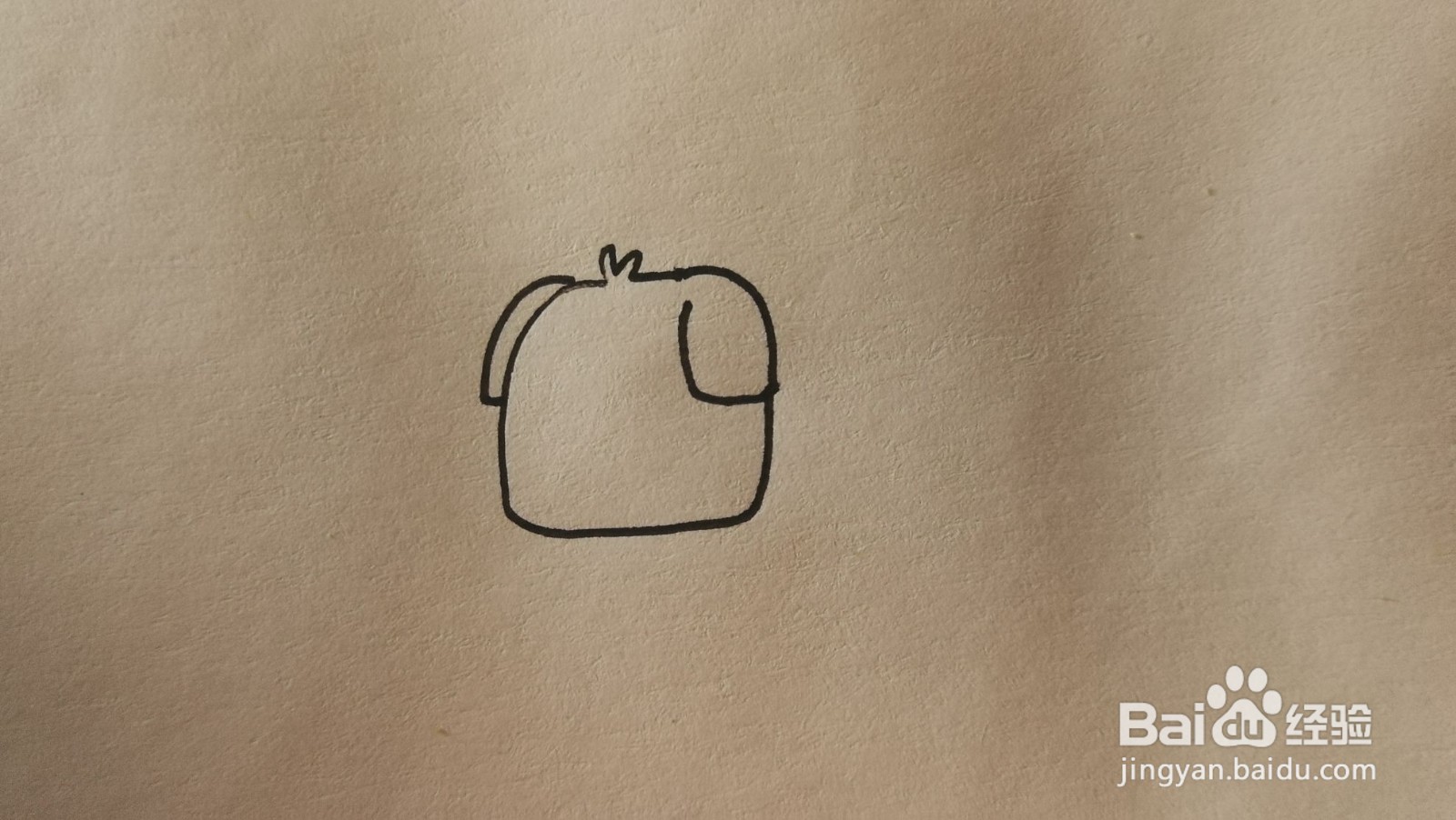 #经验分享官#小狗简笔画