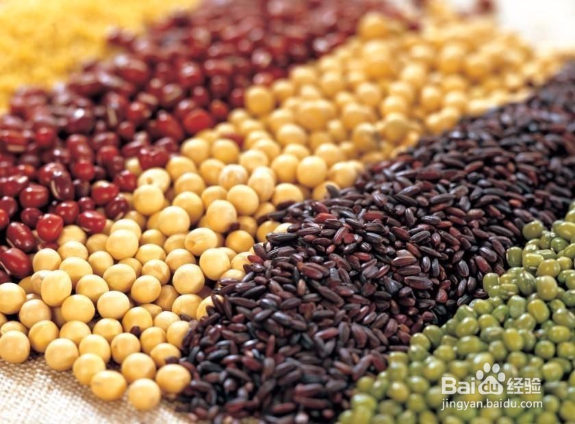 十种可当补品的日常食物