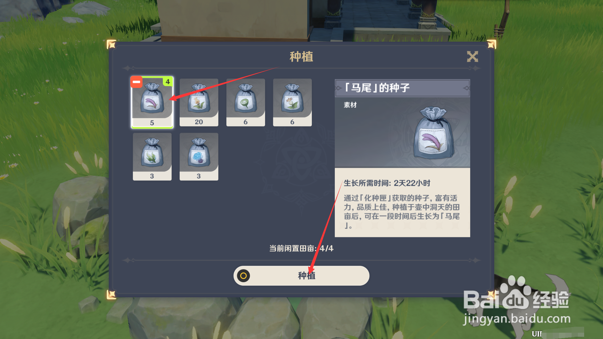 原神如何种植马尾