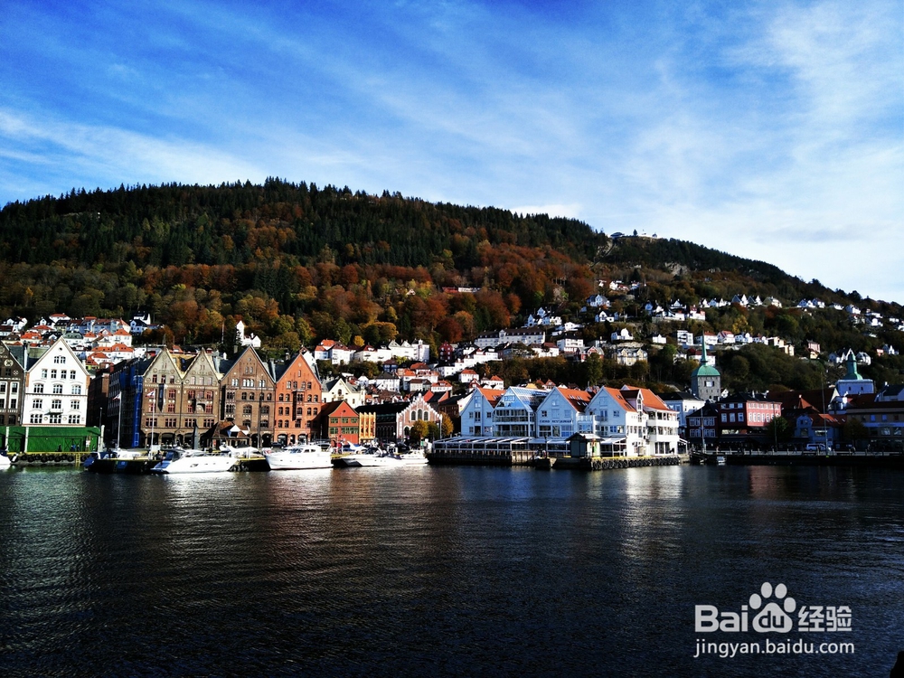 双核对焦是什么?实力分析,老司机带带你!