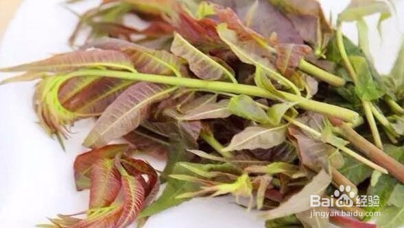 五种食物对女性很有益