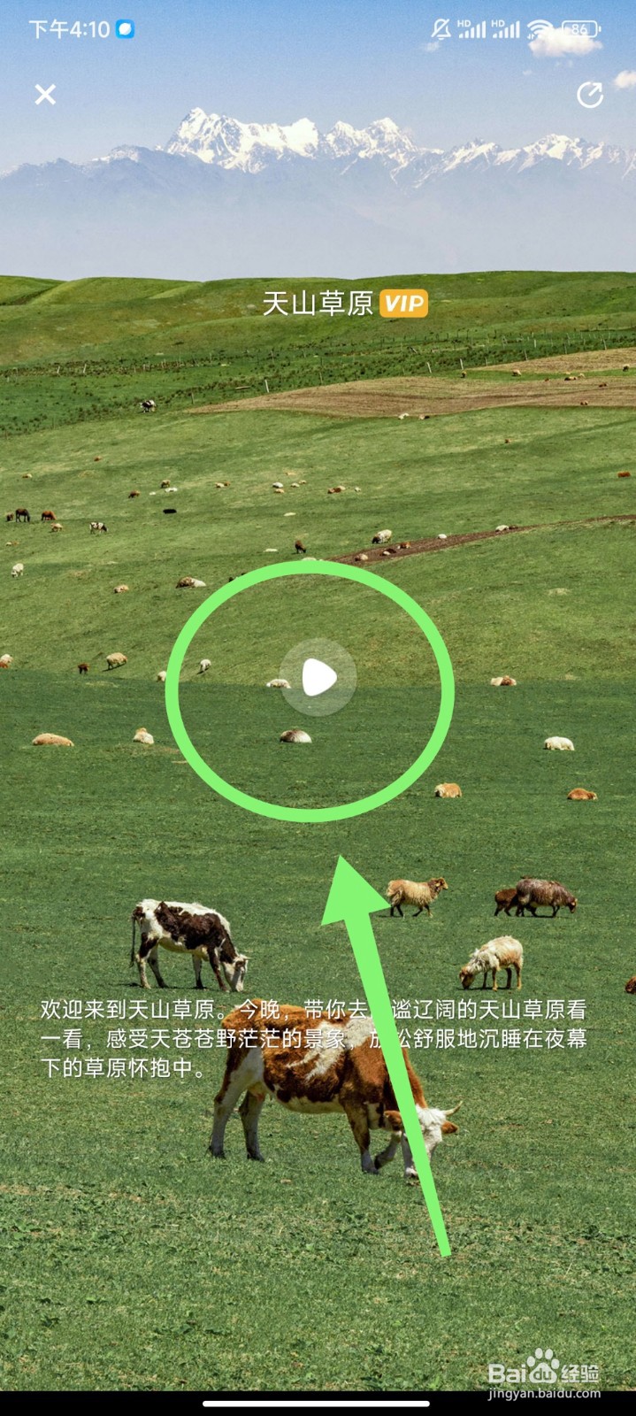 Now冥想怎么播放天山草原白噪音