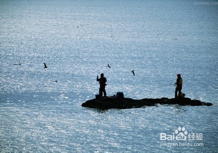 鱼竿有哪些种类