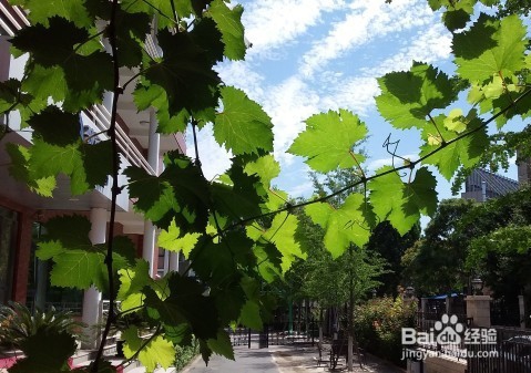 SAMSUNG 三星 J3 Pro体验报告