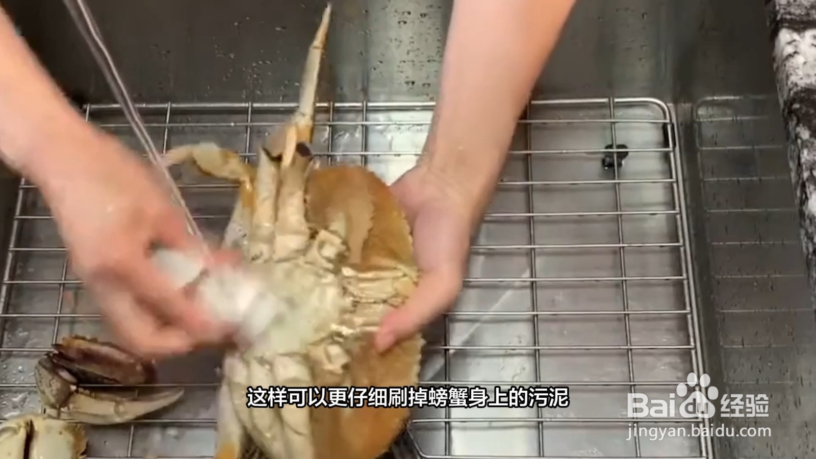 怎样洗螃蟹又快又干净