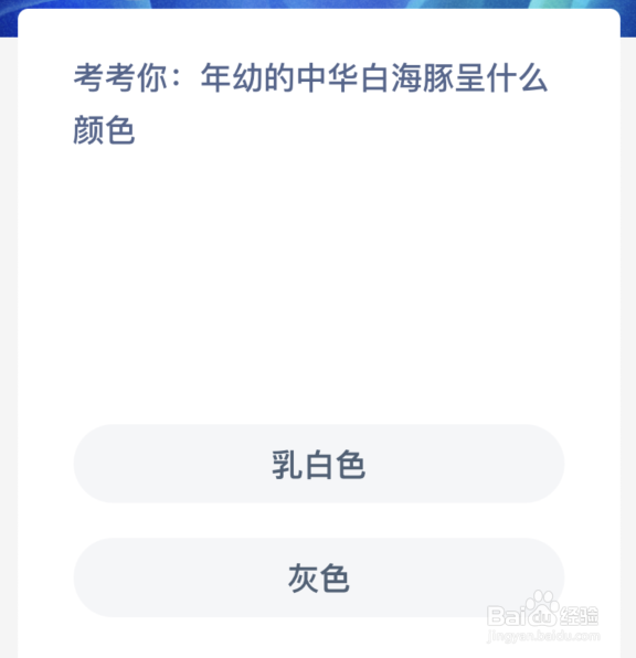 考考你年幼的中华白海豚呈什么颜色