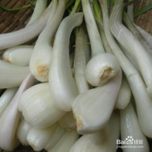 酸茭头怎么做?