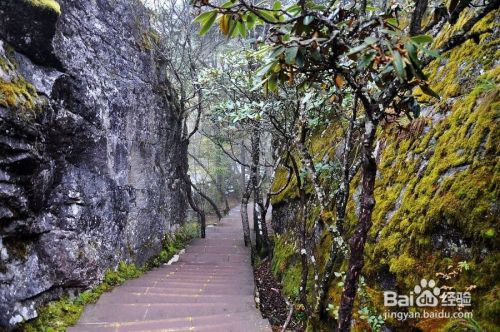 木格措风景区旅游攻略