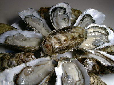 补肾的食物
