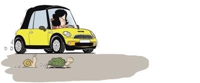 哪些原因导致新手不能上高速?