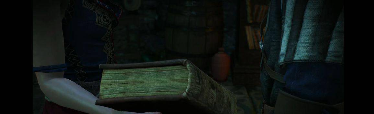 巫师3林中夫人书在哪？