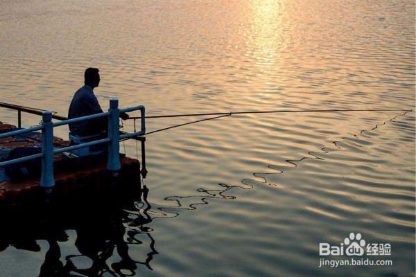 水库钓鱼小罗非太多怎么办
