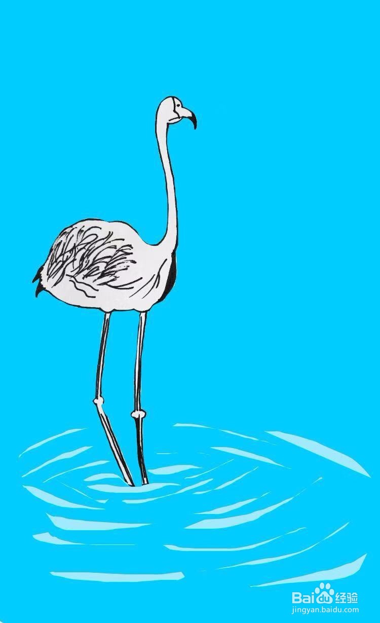 茉莉水彩手绘之火烈鸟