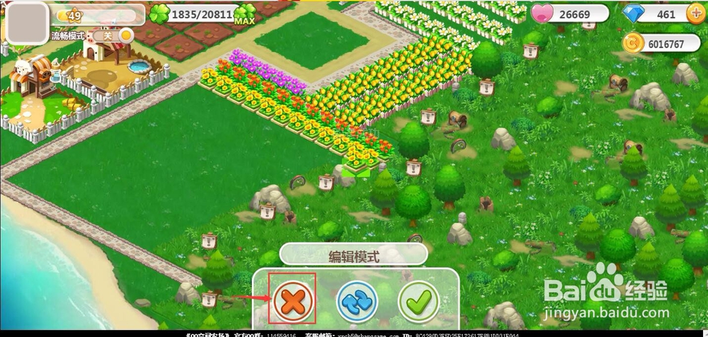 怎样购买植物向日葵？