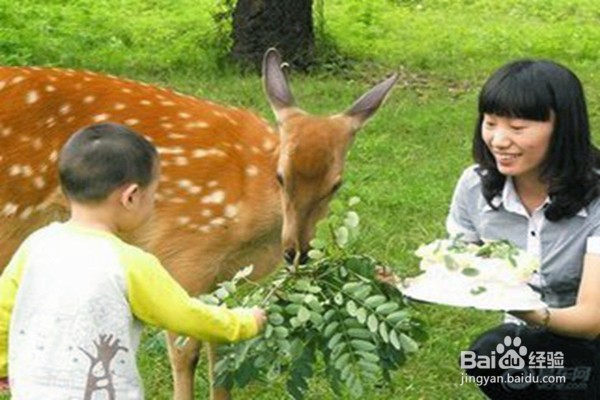 提高孩子的情商，从哪些方面做起？