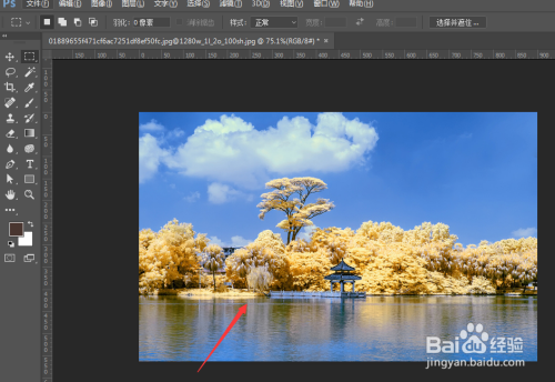 PS中如何改变图片的部分区域颜色