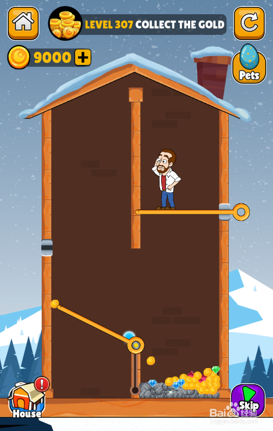 Home Pin的LEVEL 307如何通关？