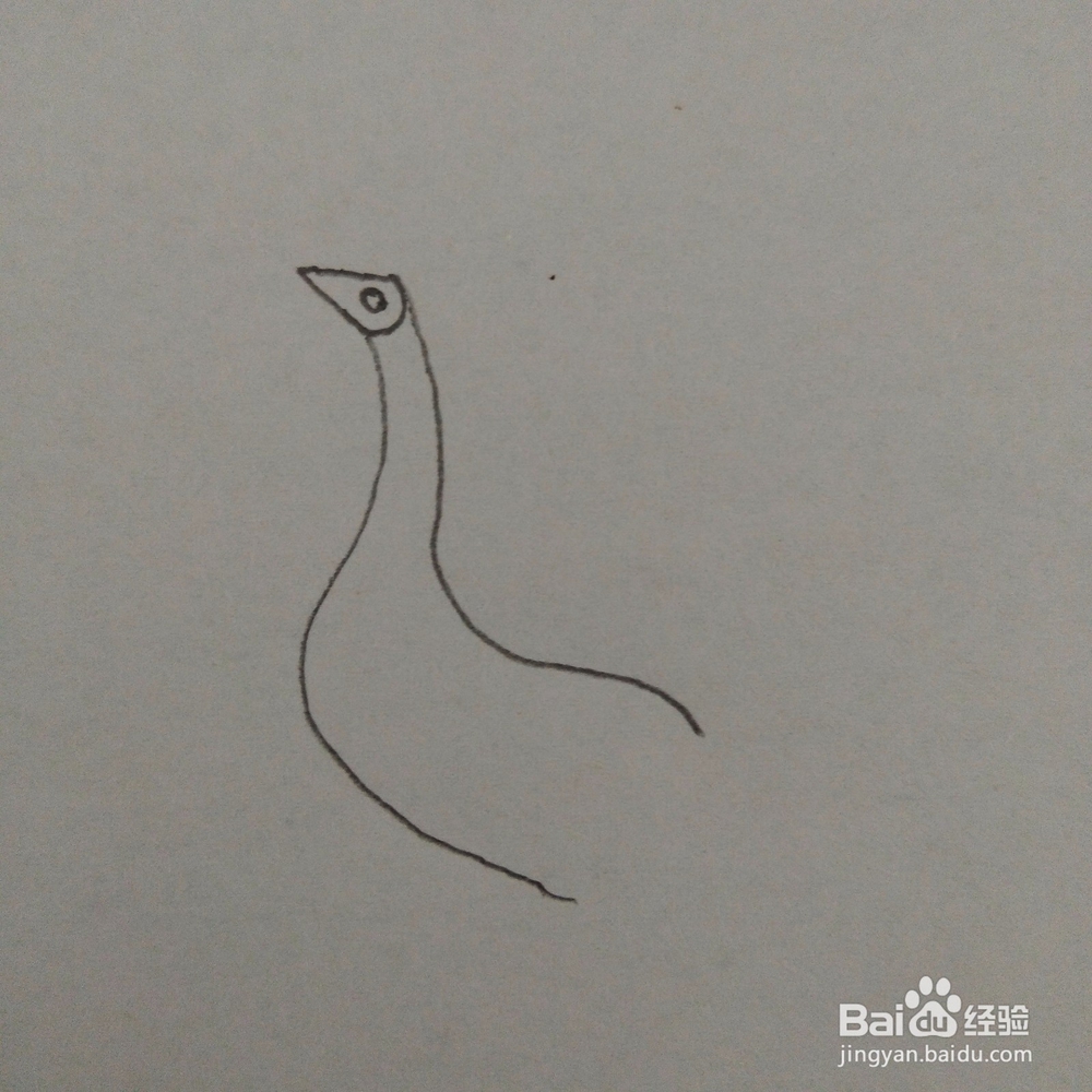 儿童趣味简笔画孔雀的画法