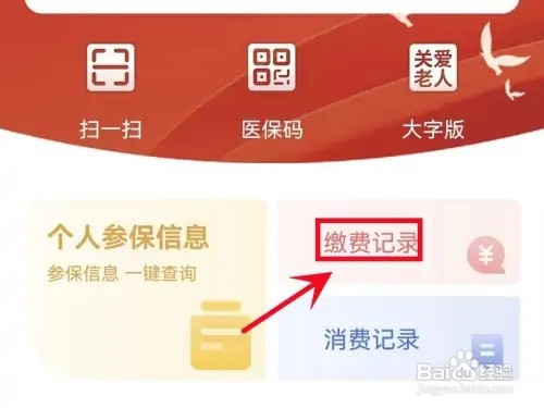 如何查看医保卡进账明细
