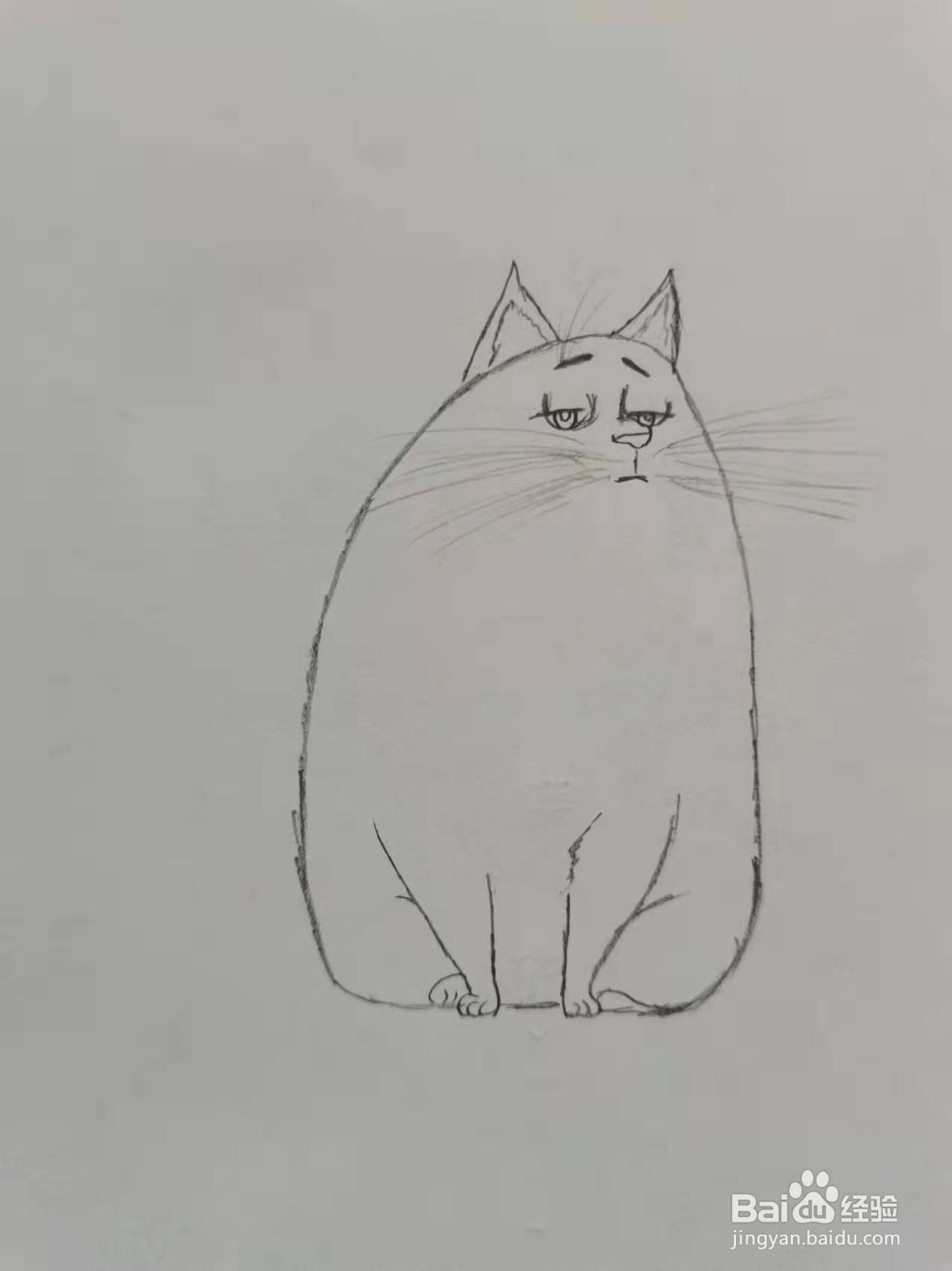 爱宠大机密里面的猫咪怎么画